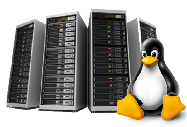 What Is Linux, and What Are the Advantages and Differences of Linux Hosting?